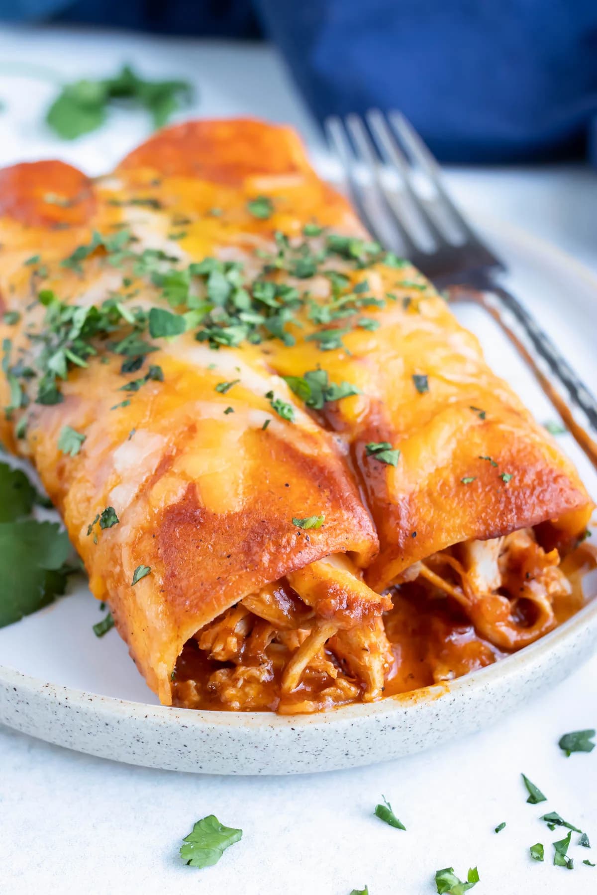 Rotisserie Chicken Enchiladas with Corn Tortillas and Homemade Red Sauce
